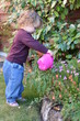 Foto: s initier au jardinage s initier au jardinage