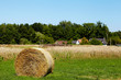 Landwirtschaft