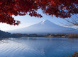 Mt Fuji Nice Scenery At Kawagu...