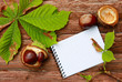 die Herbstnotizen