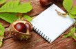 Herbstnotizen