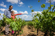 terroir familial