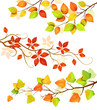 Collection of autumn leaves.Vector illustration