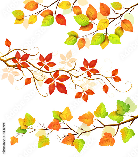 Vector: Collection of autumn leaves.Vector illustration Collection of autumn leaves.Vector illustration