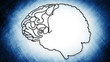The human brain structure animation illustration