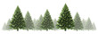 Pine Tree Winter Border