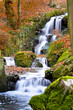 Wildbach