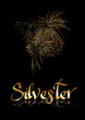 Vektor: Silvester Feuerwerk Silvester Feuerwerk