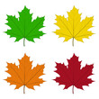 Feuilles d’érable couleurs quatre saisons