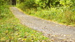 Running in the park, focus on foreground