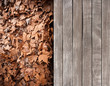 Deck and dead leaves
