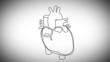 Human Heart structure animation illustration 
