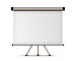blank projection screen