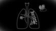 Human Lung structure animation illustration