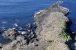 Giant's Causeway, County Antrim, Northern Ireland