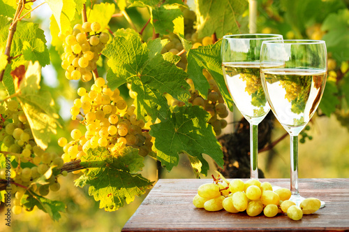 Photo: Weinreben und Weißwein Weinreben und Weißwein