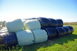 Photo: Landwirtschaft Landwirtschaft