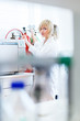 Female researchers working in a laboratory