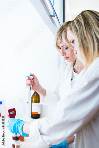 Photo: Two female researchers working in a laboratory Two female researchers working in a laboratory