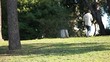 Video: Boy with phone leaves the park Boy with phone leaves the park