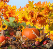 Erntedankfest: Früchte, Sonnenblumen, Herbstlaub
