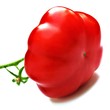 Foto: Fleischtomate Fleischtomate