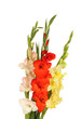 Bouquet Of Beautiful Colorful ...