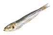 Fish food isolated