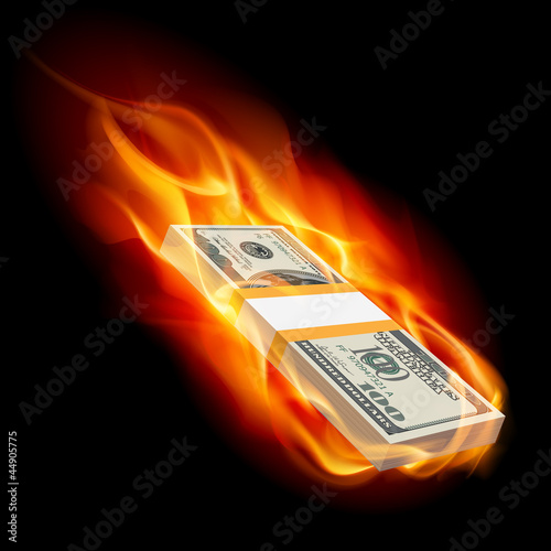 Vector: Burning dollars Burning dollars