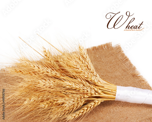 Foto: wheat wheat