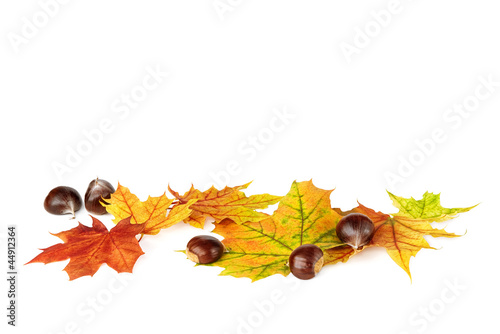 Photo: Unten liegende Herbstblätter und Kastanien Unten liegende Herbstblätter und Kastanien