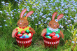 osterhasen in der Wiese