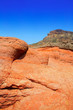 Canary islands in Tenerife Teide National Park