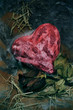 scary heart and rose