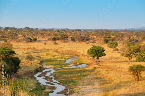 Photo: Tarangire River Tarangire River