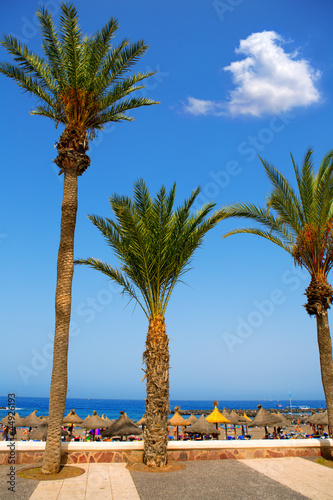 Photo: Adeje coast Las americas beach in south Tenerife Adeje coast Las americas beach in south Tenerife