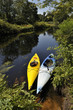 Kayaks on a Forest River, New England