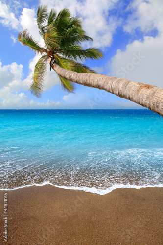 Photo: Canary Islands brown sand beach tropical aqua Canary Islands brown sand beach tropical aqua