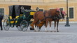 Carriage with horses for hire in Vienna