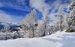 hiver