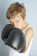 Junger Boxer