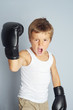 Jubelnder Boxer