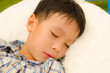 asain boy sleeping in the garden