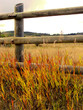 Photo: Rural scene: warm colors of autumn prairie grass Rural scene: warm colors of autumn prairie grass