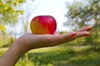 Фото: apple on a people palm apple on a people palm
