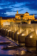 Mezquita Cathedral in Cordoba