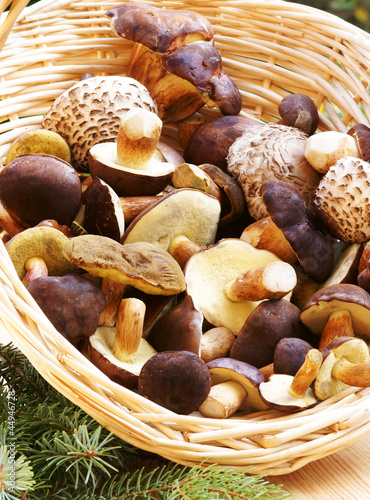 Photo: Pilze im korb Pilze im korb