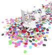 Jigsaw Puzzle Overseer