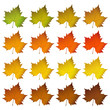 Herbst, Blätter, Laub, Ahorn, Ahornblätter, Leafs, Herbst, Farbe