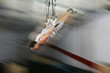 The sportsman the guy, carries out difficult exercise, sports gy